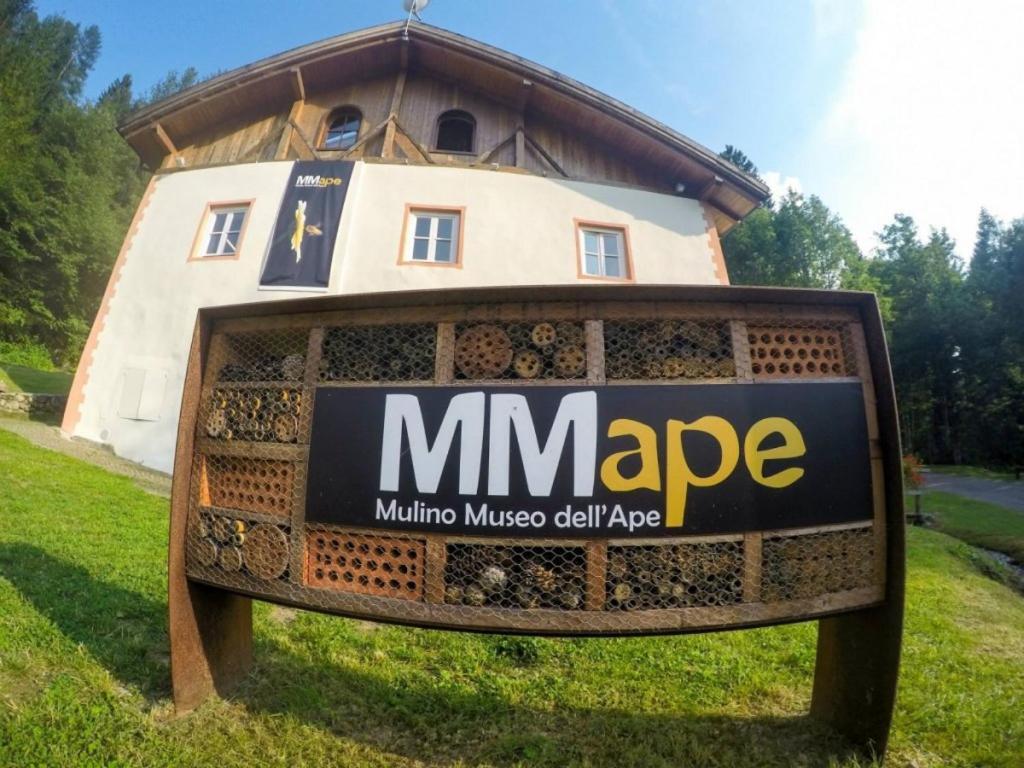 Angeli Dolomiti House Appartement Croviana Buitenkant foto