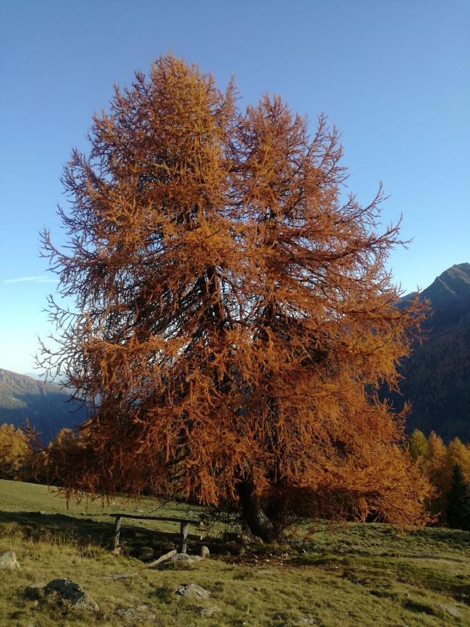 Angeli Dolomiti House Appartement Croviana Buitenkant foto